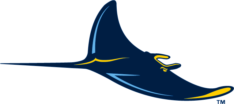 Tampa Bay Rays 2008-Pres Alternate Logo iron on transfers for clothing version 2